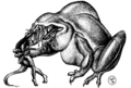 Thumbnail for version as of 17:17, 21 January 2025