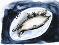 Thumbnail for version as of 17:22, 21 January 2025