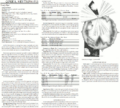 Thumbnail for version as of 19:04, 21 January 2025