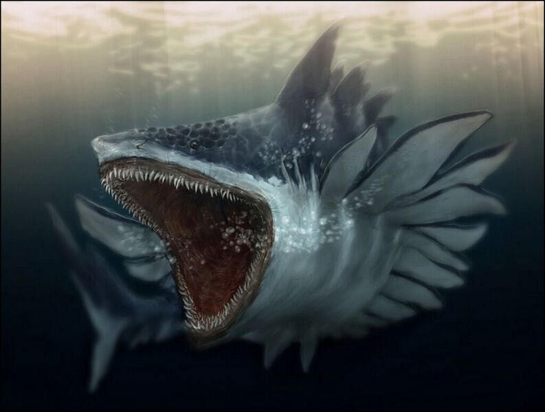 File:1024px-Nommy shark.jpg