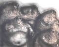 Thumbnail for version as of 18:14, 21 January 2025
