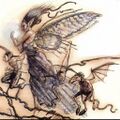 Thumbnail for version as of 17:46, 21 January 2025