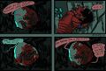 Thumbnail for version as of 17:36, 21 January 2025