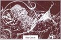 Thumbnail for version as of 17:31, 21 January 2025