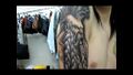 Thumbnail for version as of 19:06, 21 January 2025