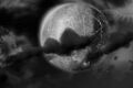 Thumbnail for version as of 19:13, 21 January 2025