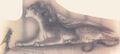 Thumbnail for version as of 18:15, 21 January 2025