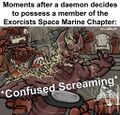 Thumbnail for version as of 18:04, 21 January 2025