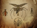 Thumbnail for version as of 19:15, 21 January 2025