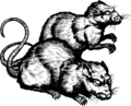 Thumbnail for version as of 19:42, 21 January 2025