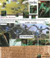 Thumbnail for version as of 18:50, 21 January 2025