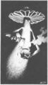 Thumbnail for version as of 17:56, 21 January 2025