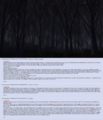 Thumbnail for version as of 18:35, 21 January 2025