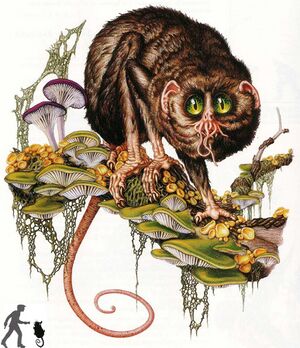 1032px-Zoog (FGtCotDl).jpg