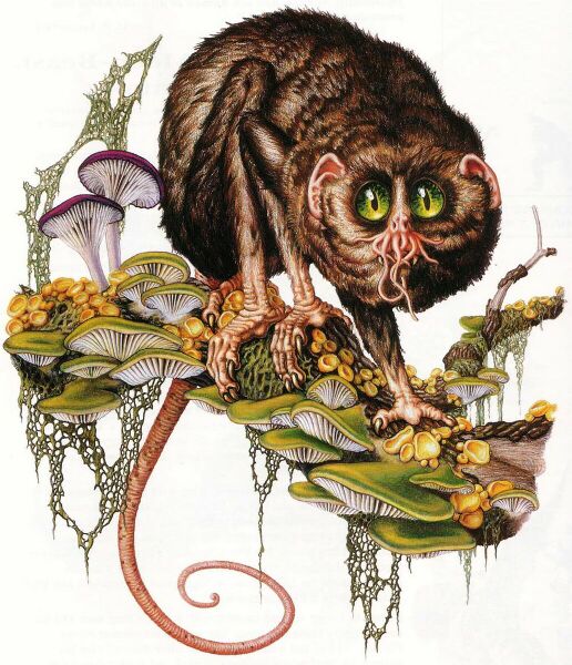 File:1032px-Zoog SPFG Dreamlands.jpg