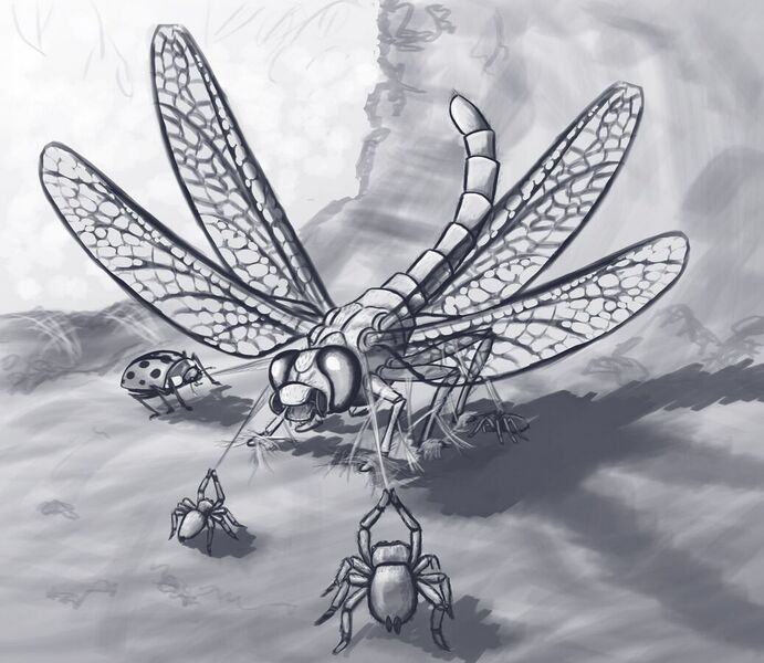 File:1037px-Capturing the dragon.jpg