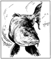 Thumbnail for version as of 19:23, 21 January 2025