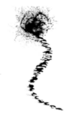 Thumbnail for version as of 17:38, 21 January 2025