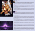 Thumbnail for version as of 17:44, 21 January 2025