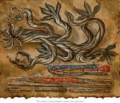 Thumbnail for version as of 17:16, 21 January 2025