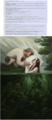 Thumbnail for version as of 18:26, 21 January 2025