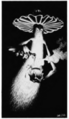 Thumbnail for version as of 20:11, 21 January 2025