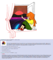 Thumbnail for version as of 19:11, 21 January 2025