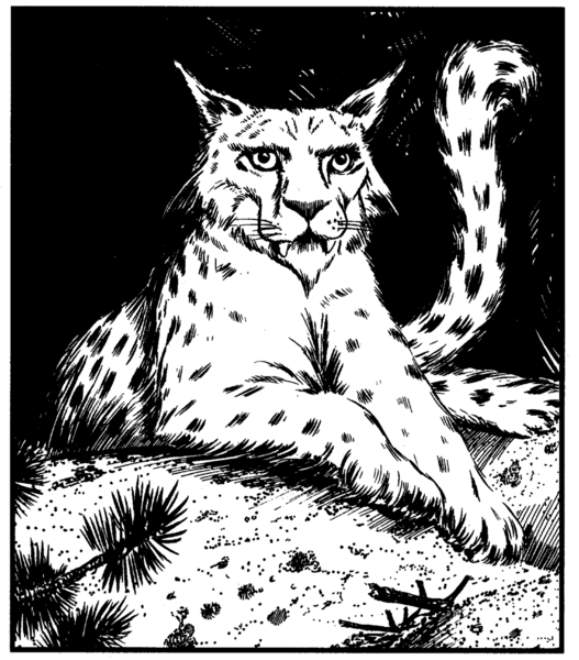 File:1053px-Cath shee FOR5.png
