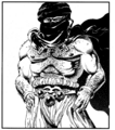 Thumbnail for version as of 19:11, 21 January 2025