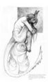 Thumbnail for version as of 18:26, 21 January 2025
