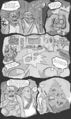 Thumbnail for version as of 18:26, 21 January 2025
