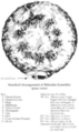 Thumbnail for version as of 20:09, 21 January 2025