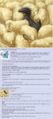 Thumbnail for version as of 18:59, 21 January 2025