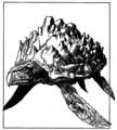 Thumbnail for version as of 17:16, 21 January 2025