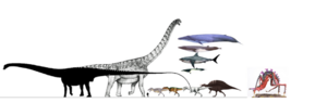 1084px-Hierophant Size Cimparison Earth Creatures.PNG
