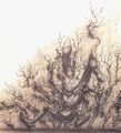 Thumbnail for version as of 19:06, 21 January 2025