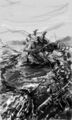 Thumbnail for version as of 17:17, 21 January 2025