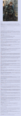 Thumbnail for version as of 19:14, 21 January 2025