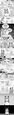 Thumbnail for version as of 18:42, 21 January 2025