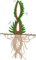 Thumbnail for version as of 17:18, 21 January 2025