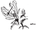 Thumbnail for version as of 17:53, 21 January 2025