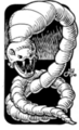 Thumbnail for version as of 20:05, 21 January 2025