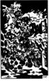 Thumbnail for version as of 18:01, 21 January 2025