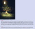 Thumbnail for version as of 17:27, 21 January 2025