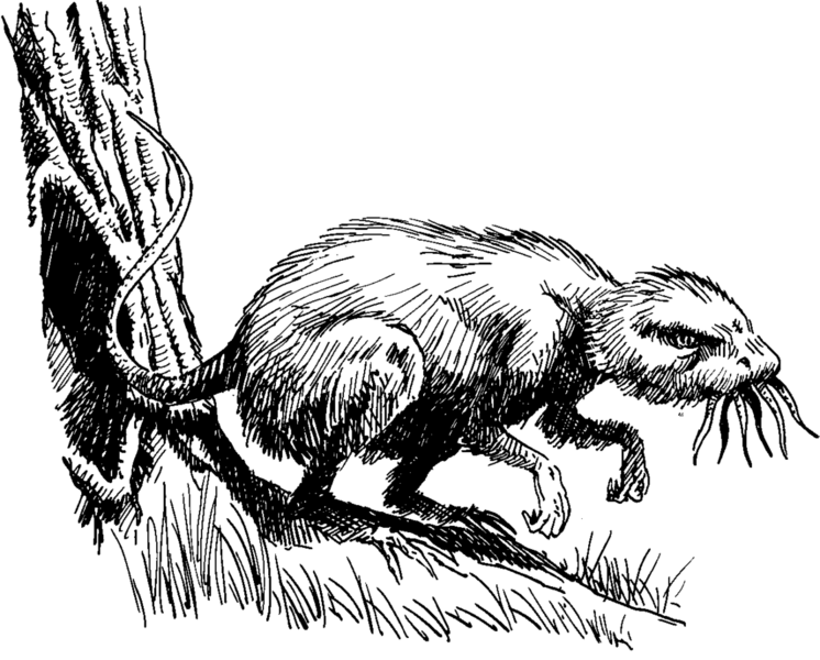 File:1118px-Zoog Dreamlands 5e 2.png