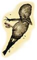 Thumbnail for version as of 17:19, 21 January 2025