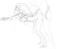 Thumbnail for version as of 18:02, 21 January 2025