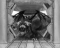 Thumbnail for version as of 19:16, 21 January 2025