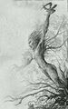 Thumbnail for version as of 17:38, 21 January 2025