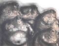 Thumbnail for version as of 18:14, 21 January 2025
